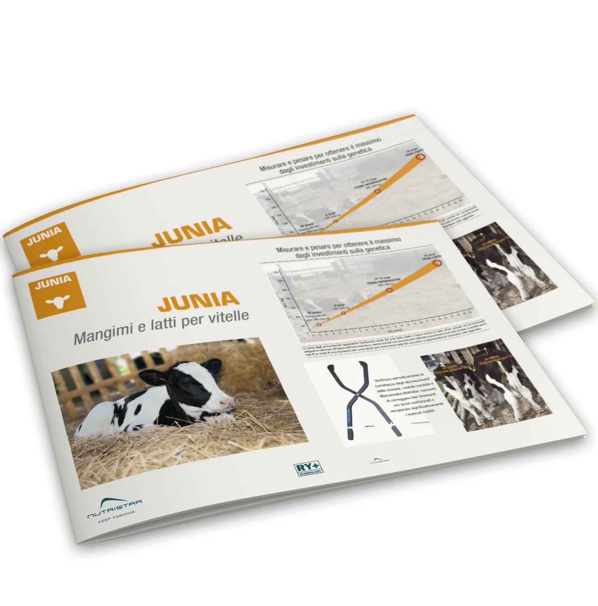 Alimentazione_Junia
