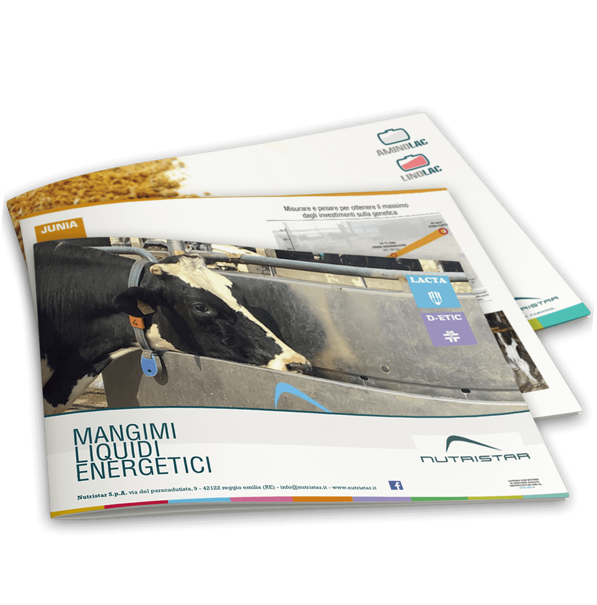 Alimentazione
